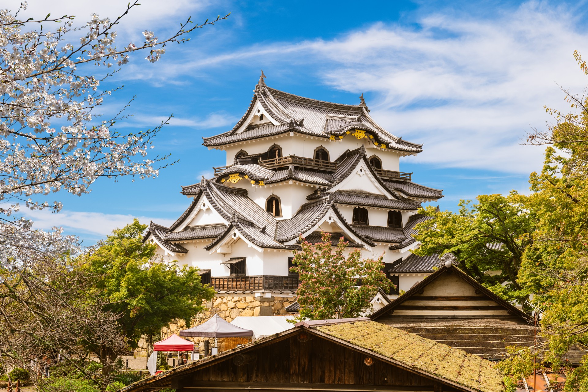 Tenshu of Hikone Castle located in Hikone city, Shiga, japan